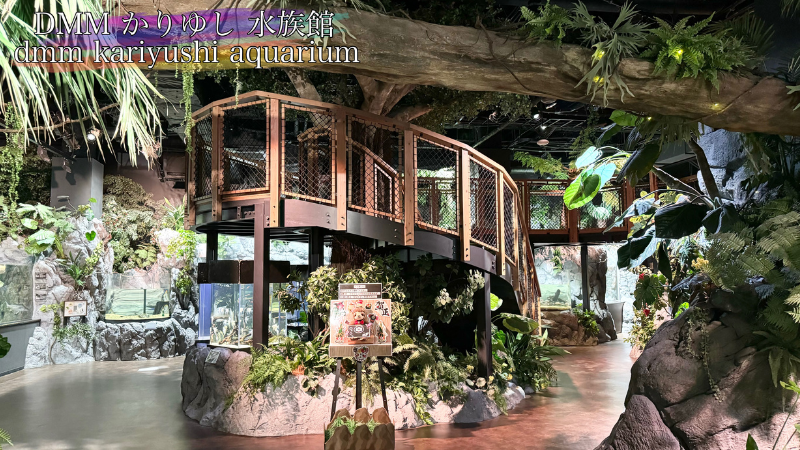 DMMかりゆし水族館の亜熱帯の森の写真