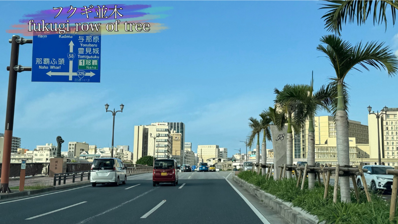 国道58号線と沖縄自動車道・那覇インターチェンジまでの案内版の写真