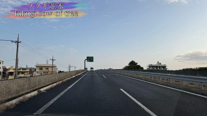 沖縄自動車道の写真