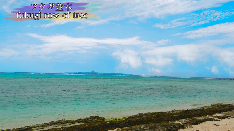 海岸線から見える伊江島の写真