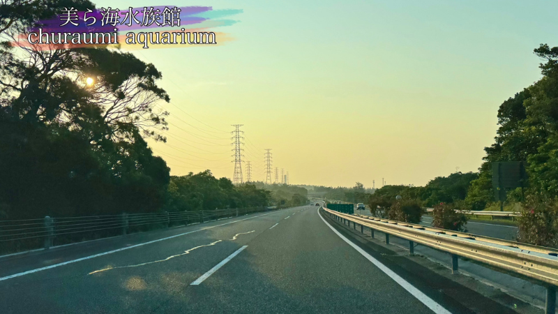 沖縄自動車道の写真